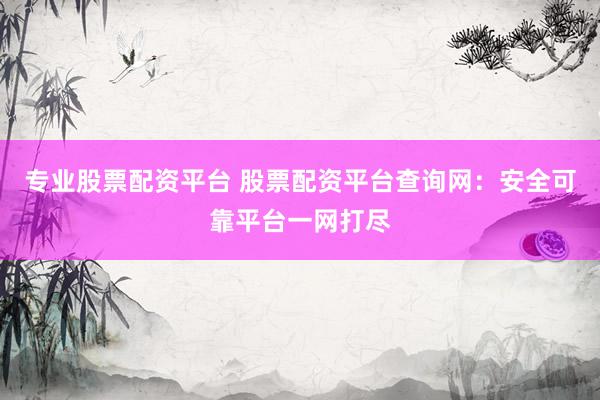 专业股票配资平台 股票配资平台查询网：安全可靠平台一网打尽