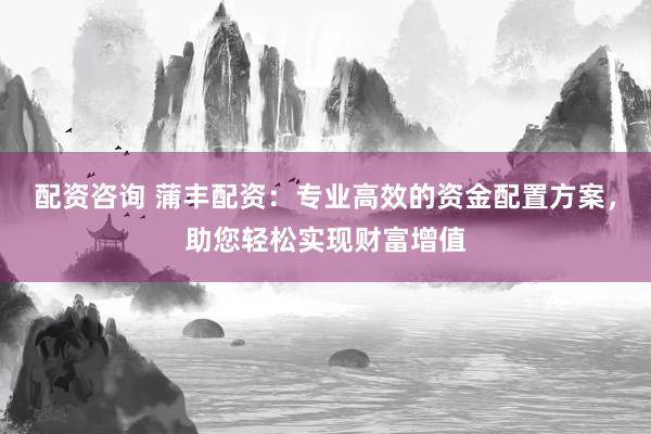 配资咨询 蒲丰配资：专业高效的资金配置方案，助您轻松实现财富增值