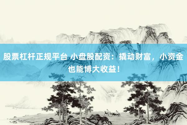 股票杠杆正规平台 小盘股配资：撬动财富，小资金也能博大收益！