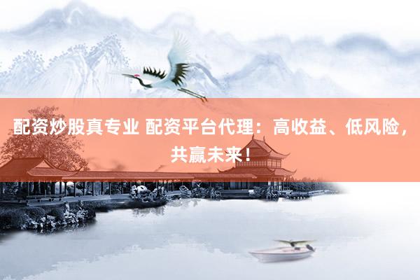 配资炒股真专业 配资平台代理：高收益、低风险，共赢未来！