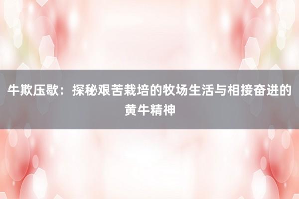 牛欺压歇：探秘艰苦栽培的牧场生活与相接奋进的黄牛精神
