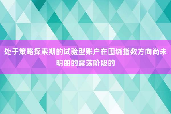 处于策略探索期的试验型账户在围绕指数方向尚未明朗的震荡阶段的