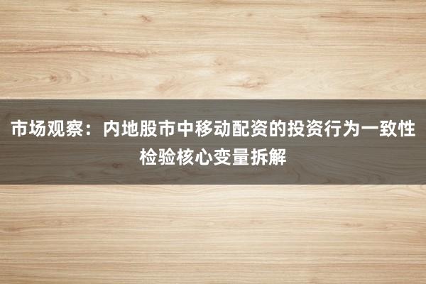 市场观察:内地股市中移动配资的投资行为一致性检验核心变量拆解