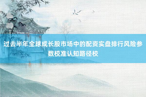 过去半年全球成长股市场中的配资实盘排行风险参数校准认知路径校