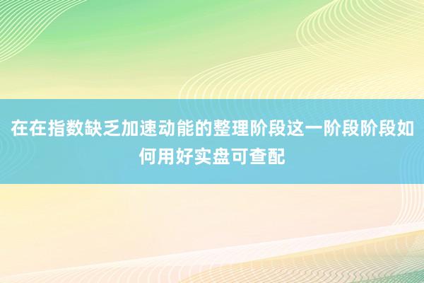 在在指数缺乏加速动能的整理阶段这一阶段阶段如何用好实盘可查配