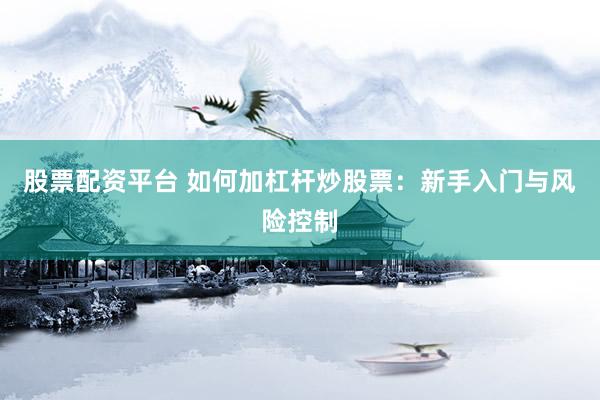 股票配资平台 如何加杠杆炒股票：新手入门与风险控制