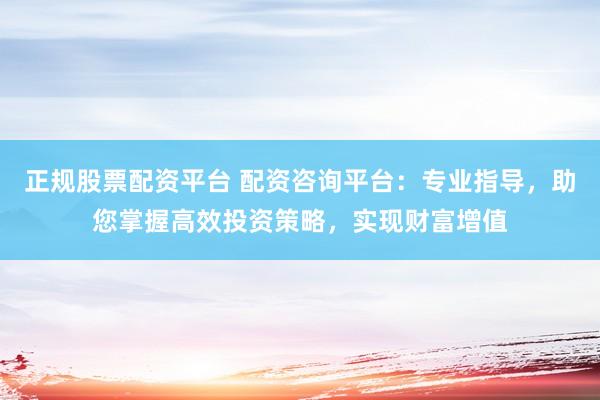 正规股票配资平台 配资咨询平台：专业指导，助您掌握高效投资策略，实现财富增值