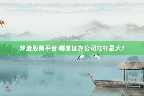 炒股股票平台 哪家证券公司杠杆最大？